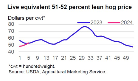 line graph comapring 2023 and 2024 US live equivalent hog prices